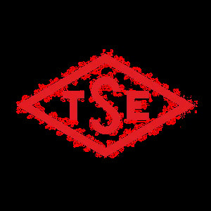TSE certification symbol with red pixelated dollar sign and digital particle effect